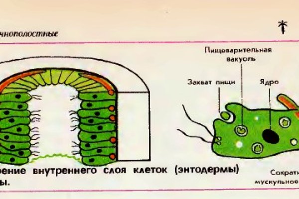 Официальный сайт кракен kraken